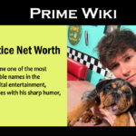 Zach Justice Net Worth