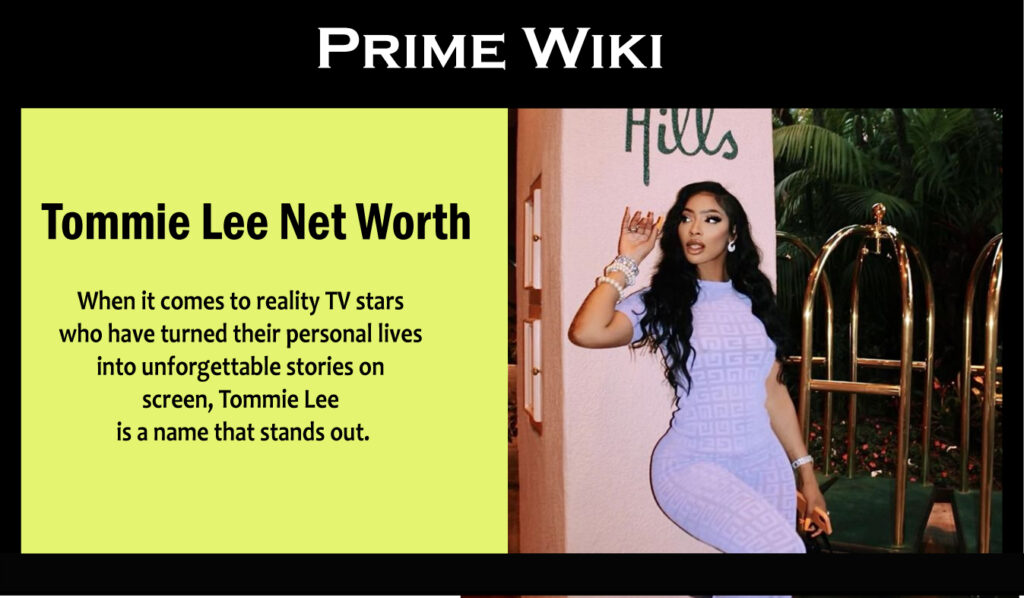 Tommie Lee Net Worth