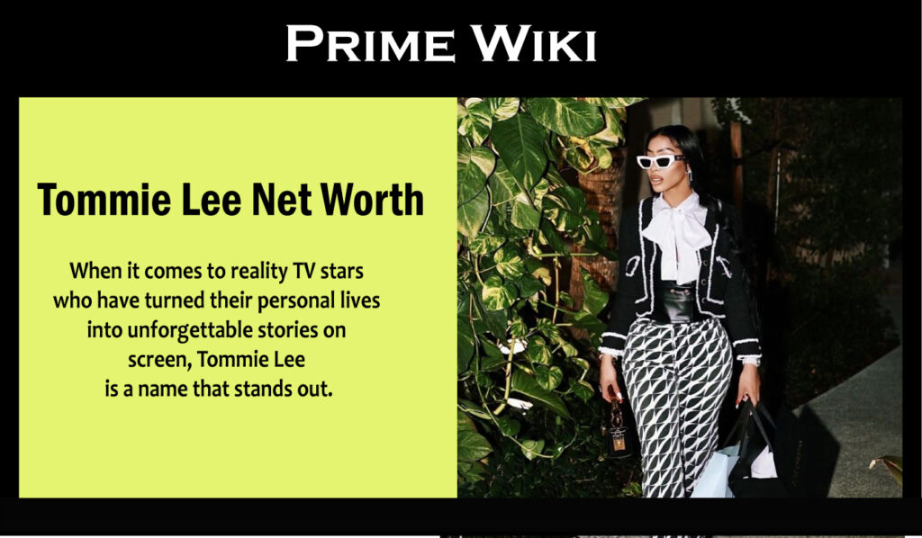 Tommie Lee Net Worth