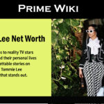 Tommie Lee Net Worth