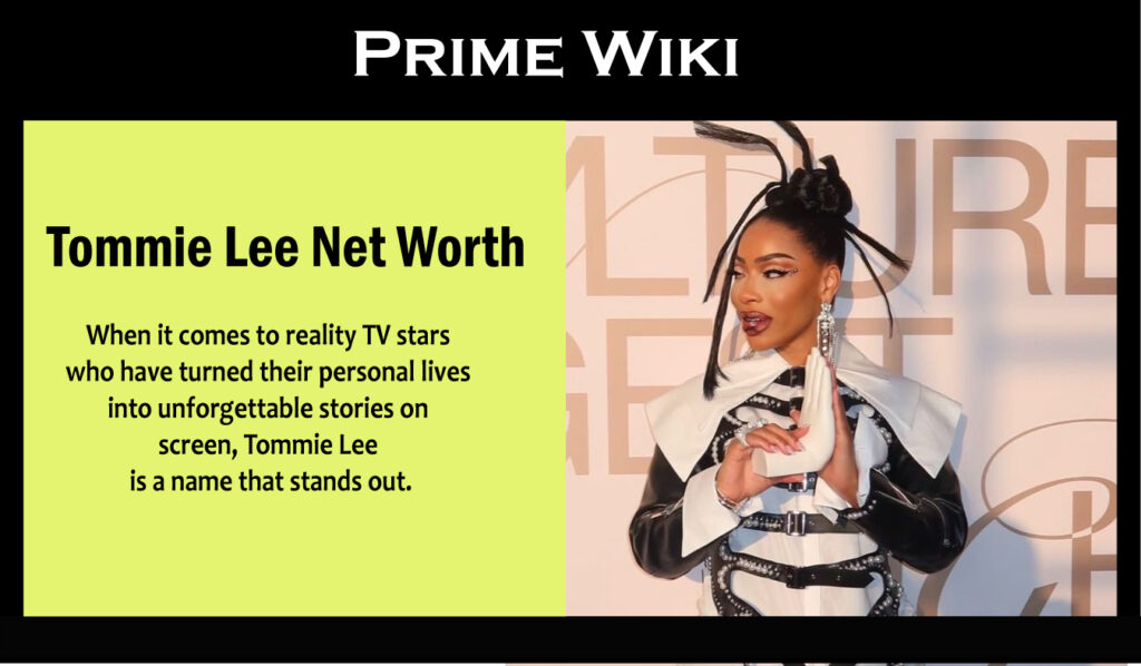 Tommie Lee Net Worth