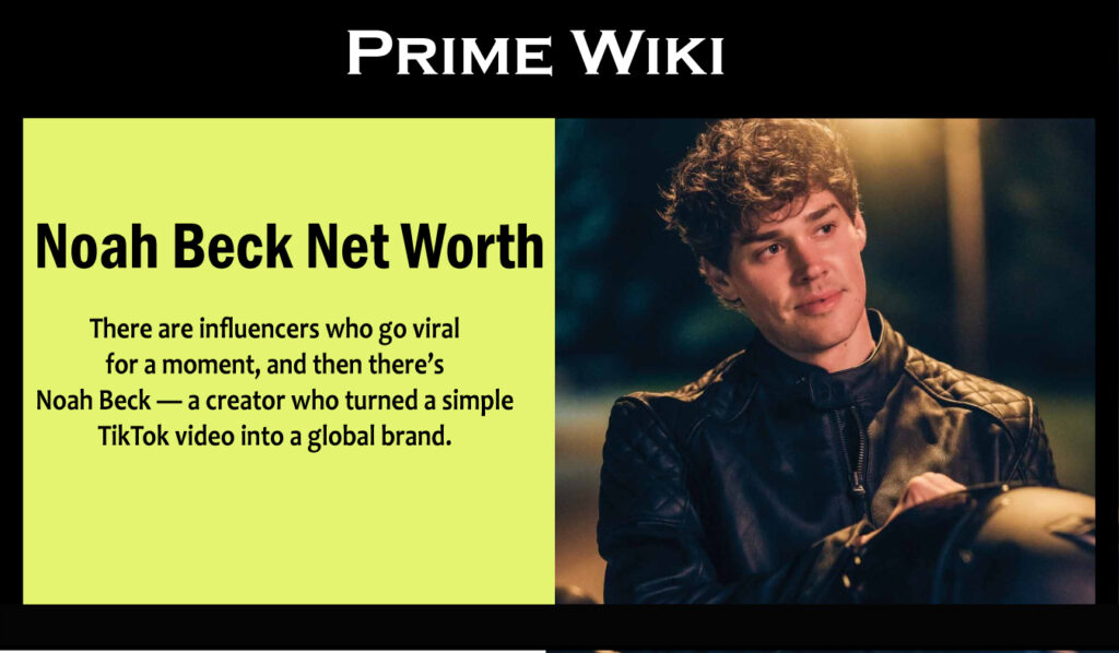 Noah Beck Net Worth